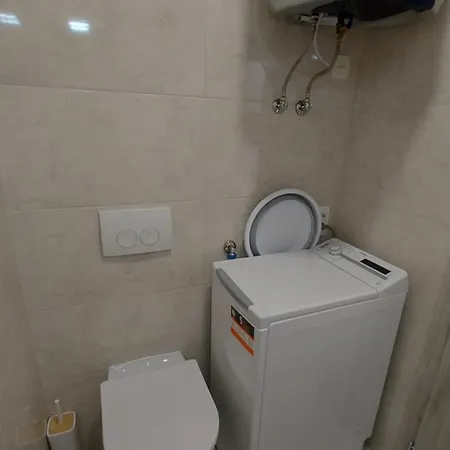 Stellaris Маслиница