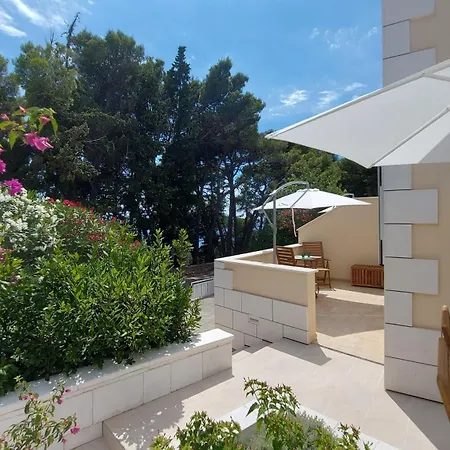 Апартаменты Stellaris