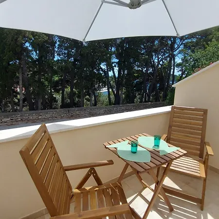 Stellaris Маслиница