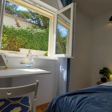 Stellaris * Маслиница