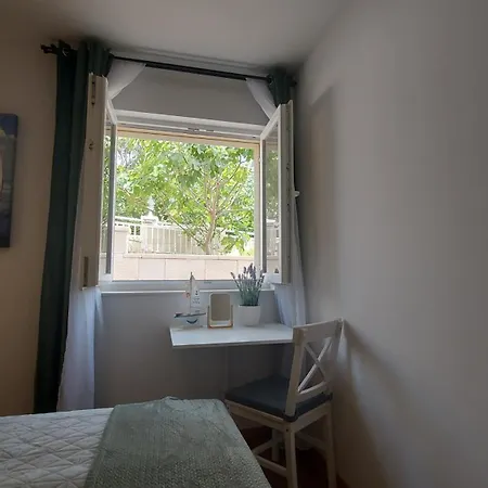 Stellaris Маслиница